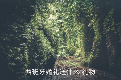 西班牙婚禮送什么 禮物